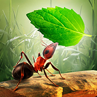 Little Ant Colony小小蚁群破解版无限金币版